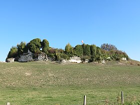 Image illustrative de l’article Château de Neuf-Marché