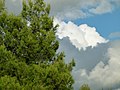 Cielo colorato sopra l'aeroporto di Perugia.JPG