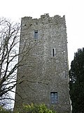 Thumbnail for Clomantagh Castle