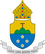 Coat of arms of the Diocese of Cubao.svg