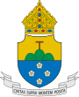 Coat of arms of the Diocese of Cubao.svg