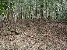 Cooner's Cattle Mound SC NPS.jpg