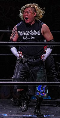 Pro Wrestling Freedoms - Wikipedia