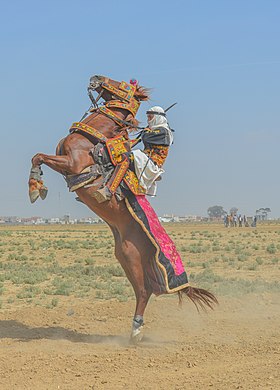 Cavaleiro em um cavalo aparado e empinado