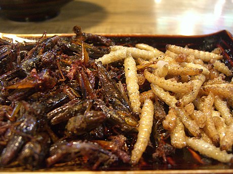Deep fried grasshoppers and bamboo worms, Kunming, China