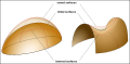 Influence of surface deformation