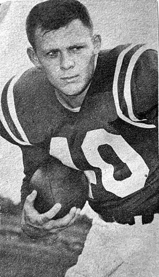 <span class="mw-page-title-main">Dick Christy</span> American football player (1935–1966)