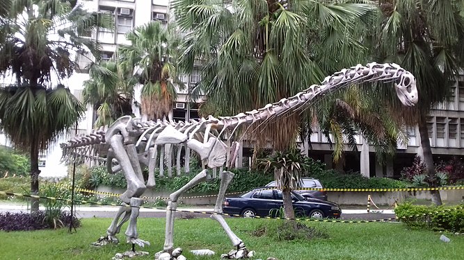 Sauropod in the University (UERJ) Gardens