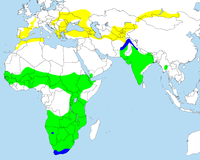 Mapa de distribución da aguia calzada.