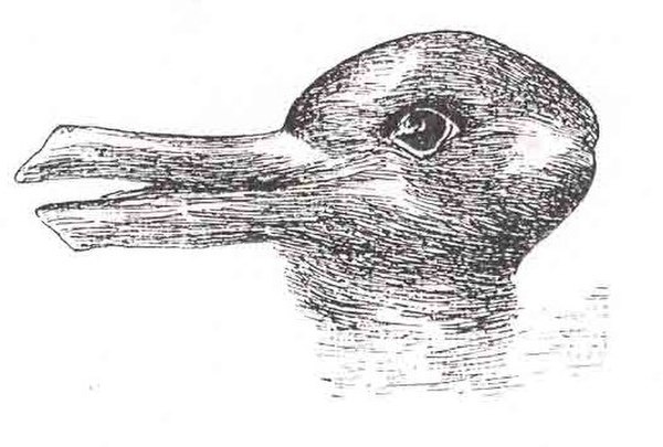 Rabbit–duck illusion