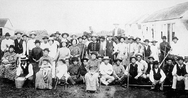 Early Japanese immigrants to Hawaii.