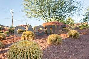 Red Hills Desert Garden