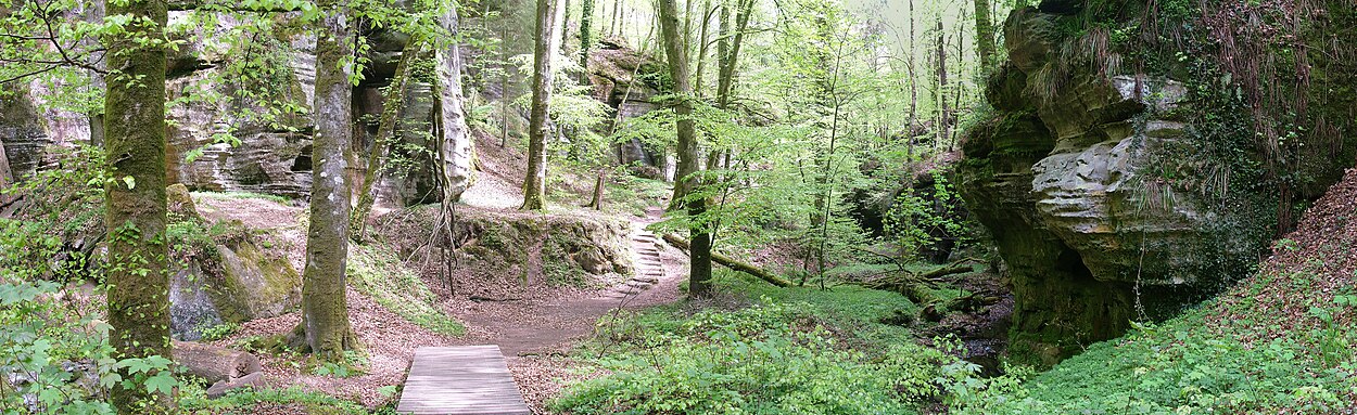 Panoramisch zicht nabij het amfitheater, wandelroute 1 Echternach - Berdorf - Echternach