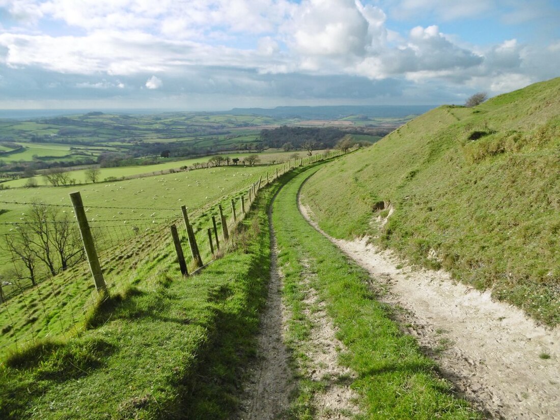 Dorset National Landscape