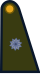 Armée argentine - Subteniente.svg