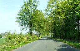 Ennigerweg - panoramio (3)