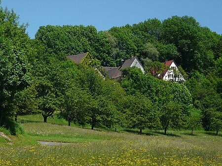 Enzenreuth