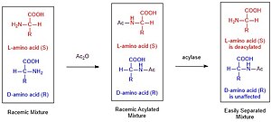 Enzymatic Resolution.jpg