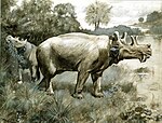 Uintatherium