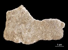 A photograph of a slab of Itacolumite Estonian Museum of Natural History Specimen No 178318 photo (g28 g28-131 1 jpg).jpg