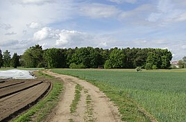 Hempelsäcker mit Blick auf Herboldshof