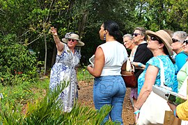 Visitors taking a volunteer-led tour of the Gardens' native plants at the Florida Native Plant Symposium.