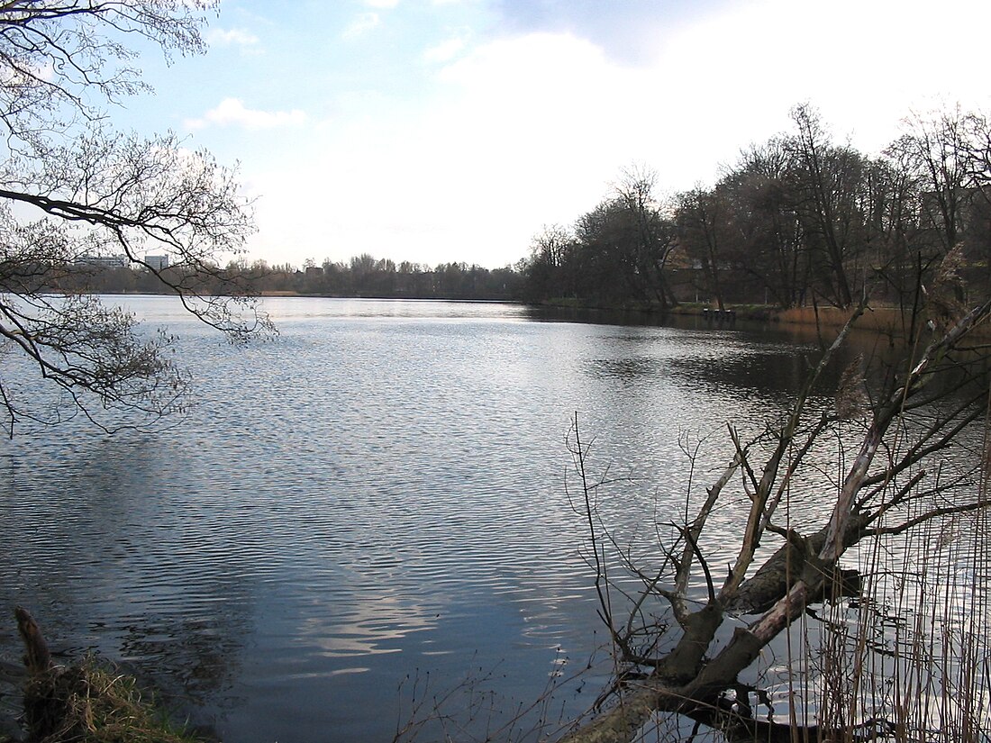 Fauler See (Schwerin)