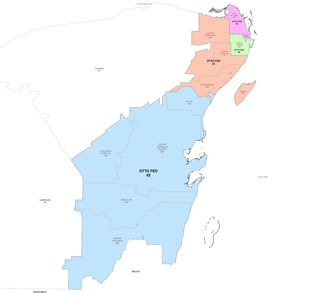 <span class="mw-page-title-main">Second federal electoral district of Quintana Roo</span> Federal electoral district of Mexico