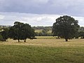 Thumbnail for File:Fields by Totteridge Lane - geograph.org.uk - 4118371.jpg