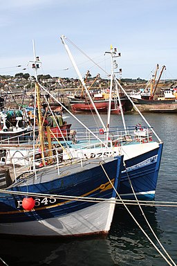 Fishing boats in Newlyn Harbour - geograph.org.uk - 772907