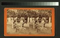 Fishing party, Florida (NYPL b11707406-G90F130 045ZF).tiff