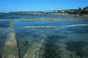 Fishponds of Punta della Vipera Fishponds of Punta della Vipera.png