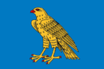 Flag of Sapozhok (Ryazan oblast).png