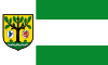 Waldbröl zászlaja