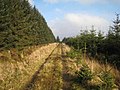 Forest road at Black Rigg - geograph.org.uk - 691717.jpg
