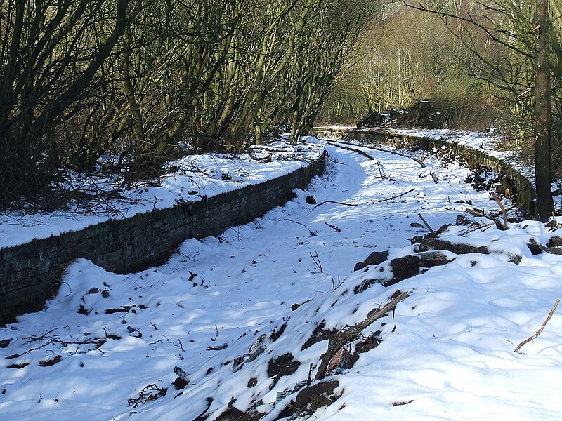 File:Former Lynedoch station - geograph.org.uk - 1164388.jpg