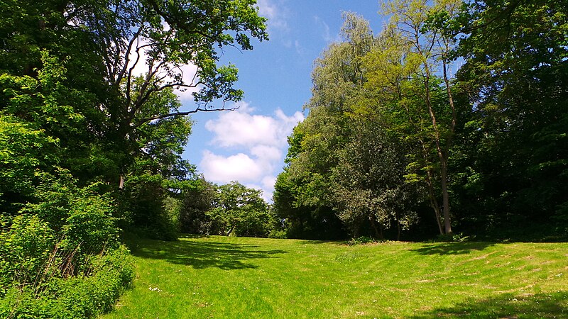 File:Frühling an der Aussenmühle.JPG