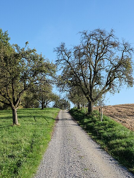 File:Franziskusweg Deggenhausertal-3090.jpg