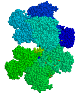 Description de l'image G6PD - 3D structure - PDB1qki.png.
