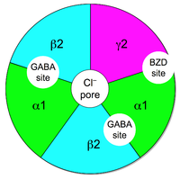 Fig 1. Chemical structure of gamma-aminobutyric acid or GABA