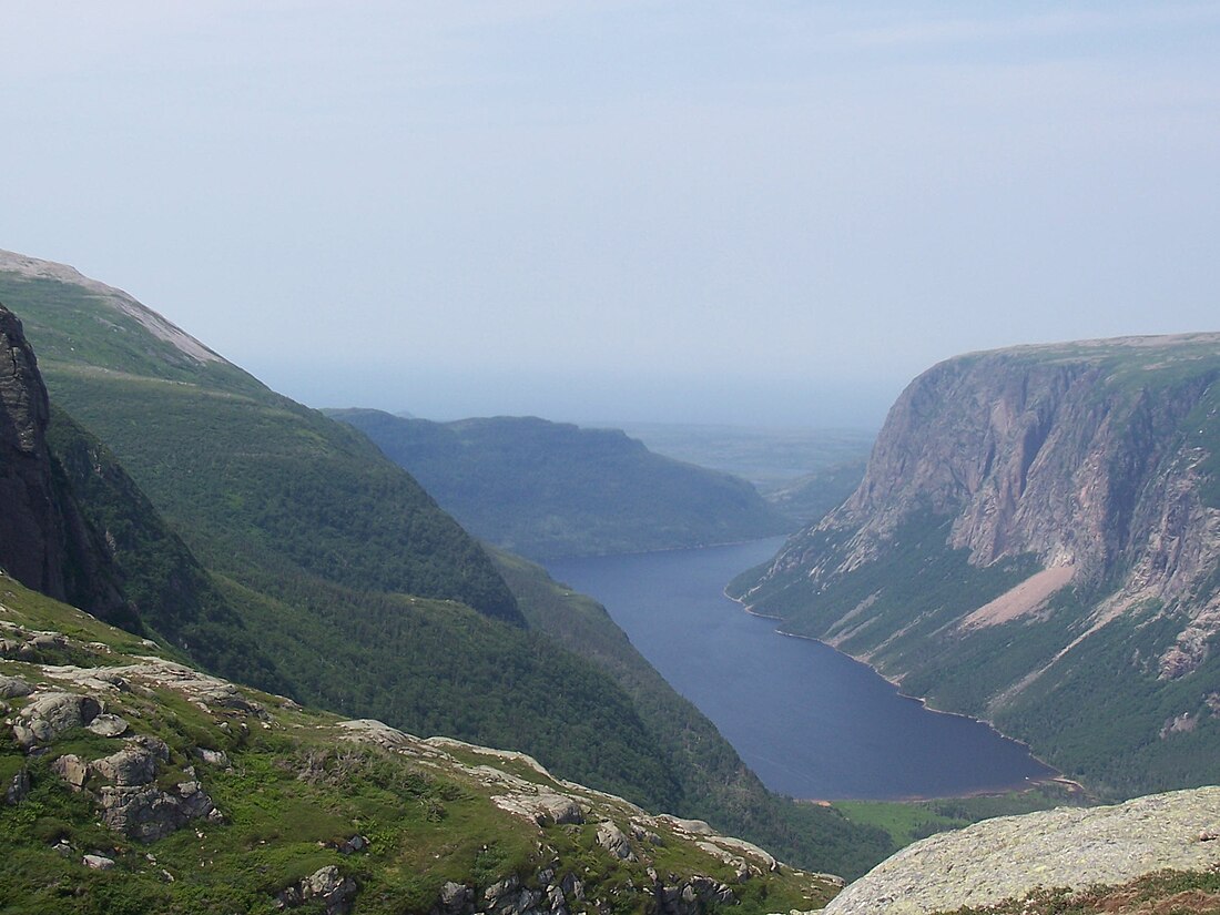 File:GrosMorne 10MilePond.JPG