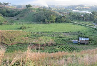 Subsistence agriculture near Honiara Guadalcanal Field.jpg