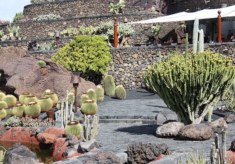 File:Guatiza, the cactus garden-11.JPG