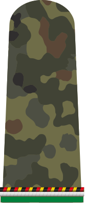 File:HA OS5 11 Panzergrenadier ROA PzGren.svg