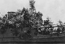 Close-up of the foliage used to camouflage the superstructure of the ship HNLMS Abraham Crijnssen Covered In Branches.jpg