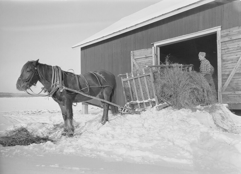 File:Hay work (JOKAMT2Hei09-1).tif