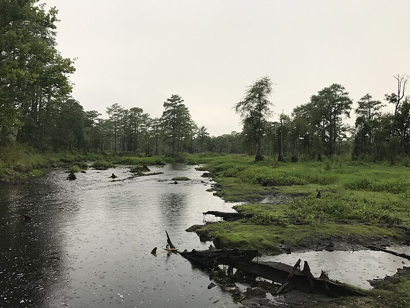 File:Hayes Pond.jpg