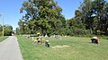 HillsboroCemetery45.JPG