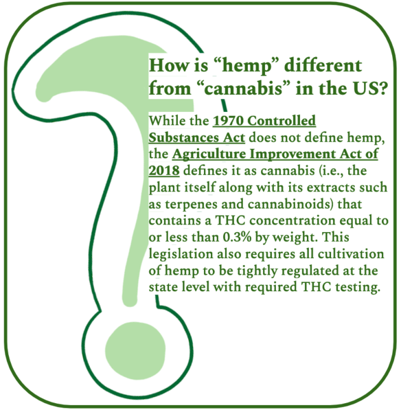 File:How is hemp different from cannabis in the US?.png