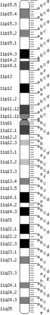 Chr 11 FISH-mapped BACs from CGAP Human chromosome 11 FISH-mapped BACs from CGAP.png